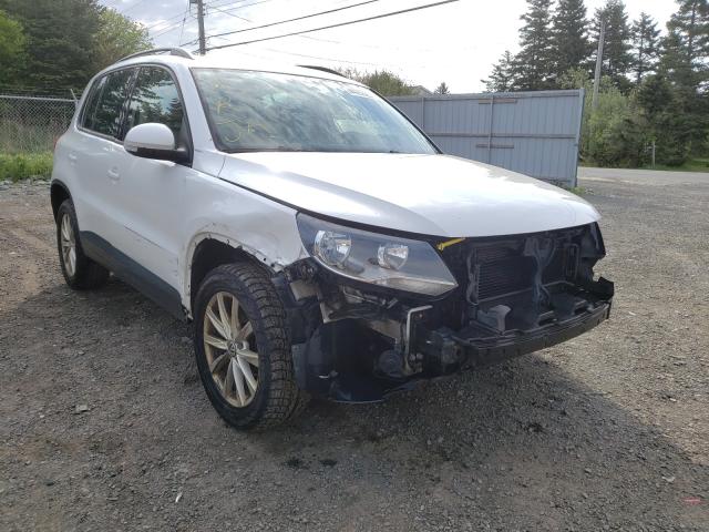 Photo 8 VIN: WVGJV3AX8EW522670 - VOLKSWAGEN TIGUAN 