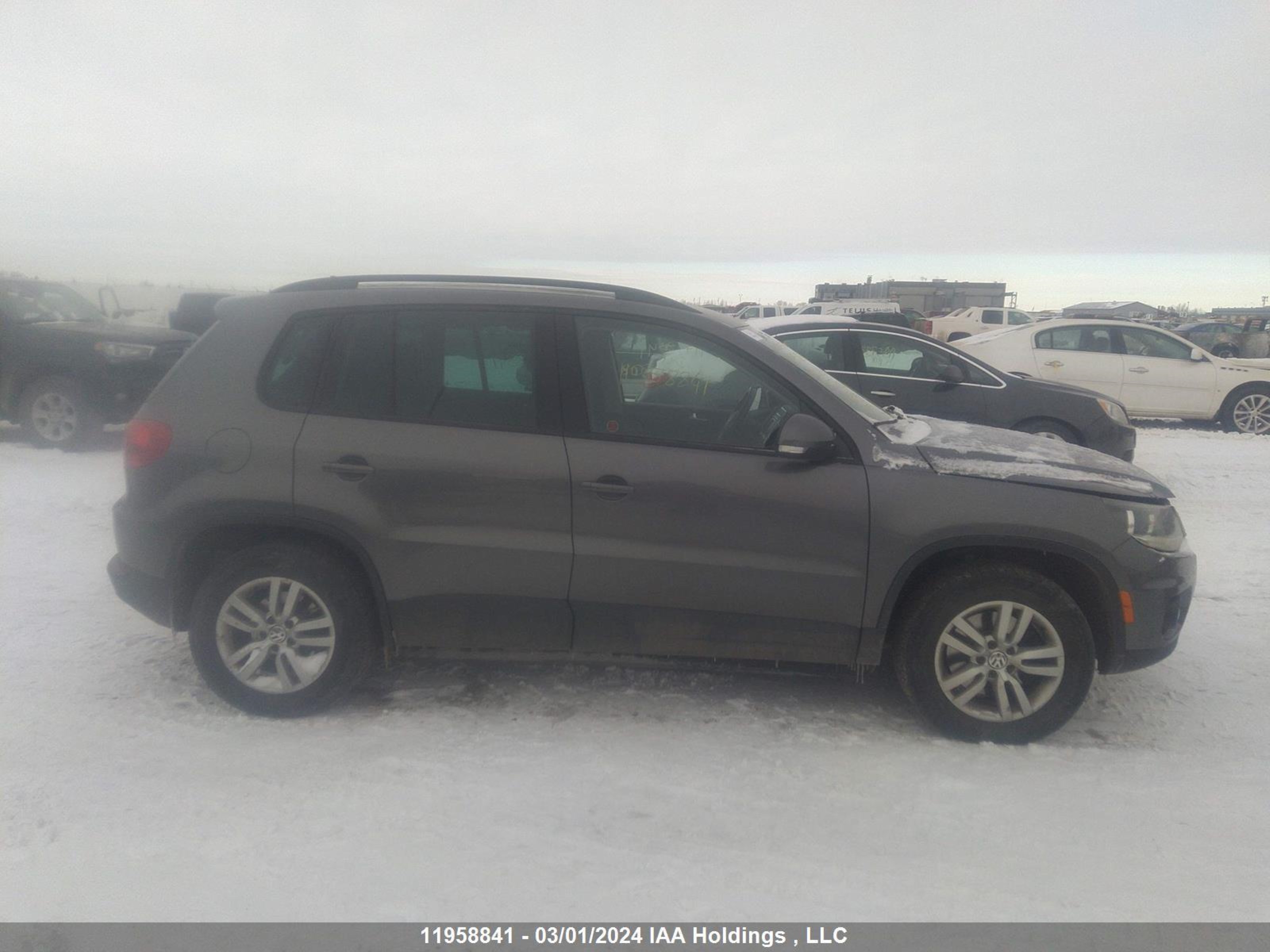 Photo 12 VIN: WVGJV7AX6FW523308 - VOLKSWAGEN TIGUAN 