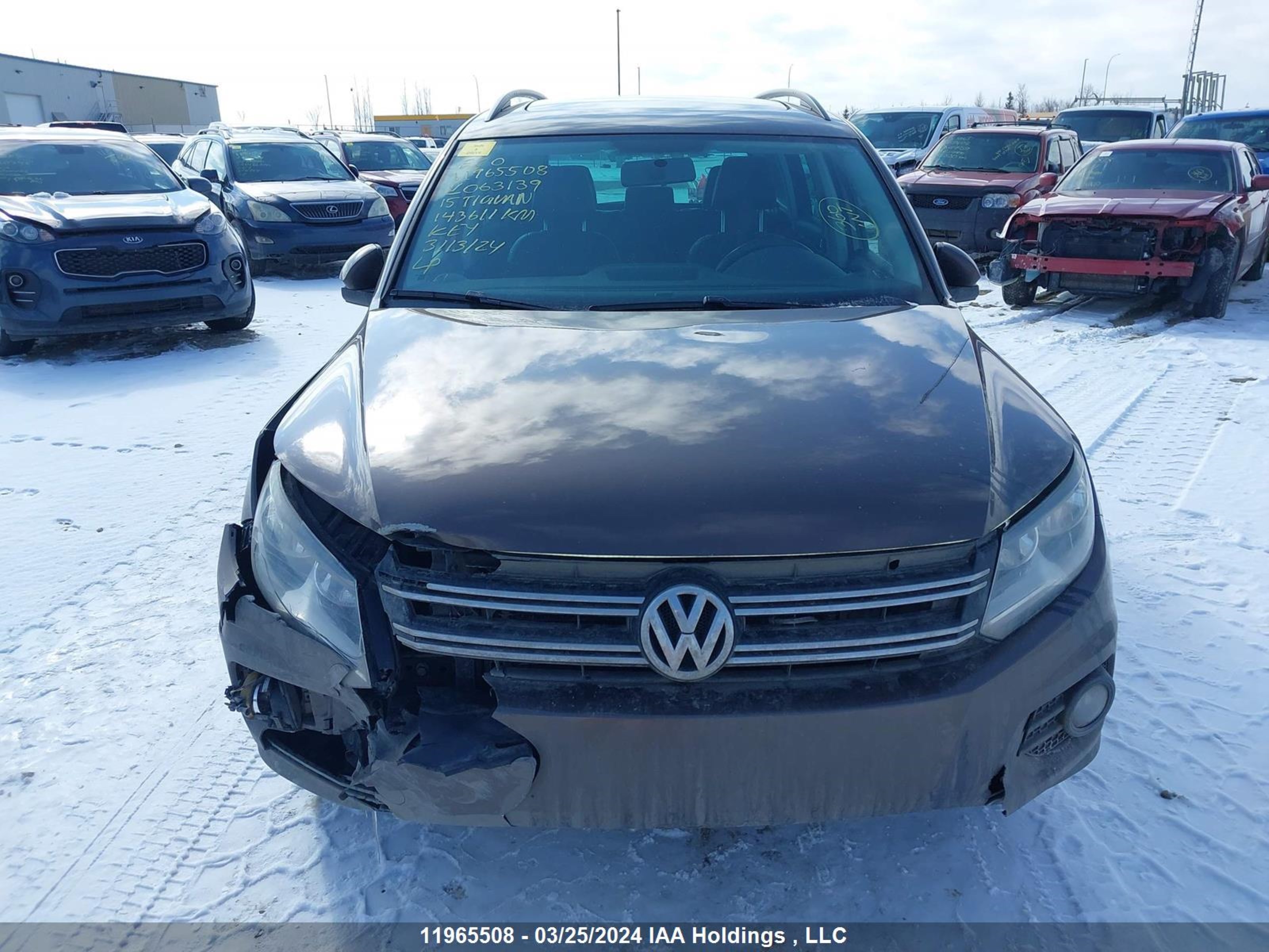 Photo 12 VIN: WVGJV7AX9FW063139 - VOLKSWAGEN TIGUAN 