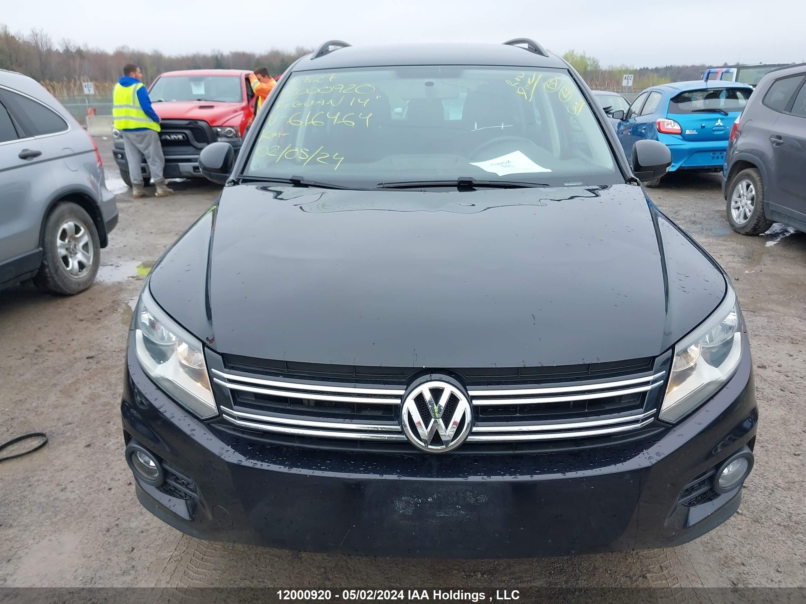 Photo 11 VIN: WVGKV3AX9EW616464 - VOLKSWAGEN TIGUAN 