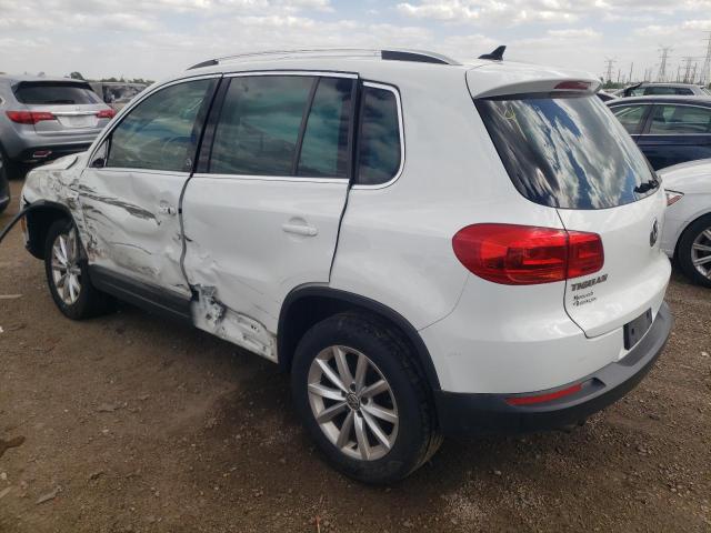 Photo 1 VIN: WVGSV7AX8HK022001 - VOLKSWAGEN TIGUAN 