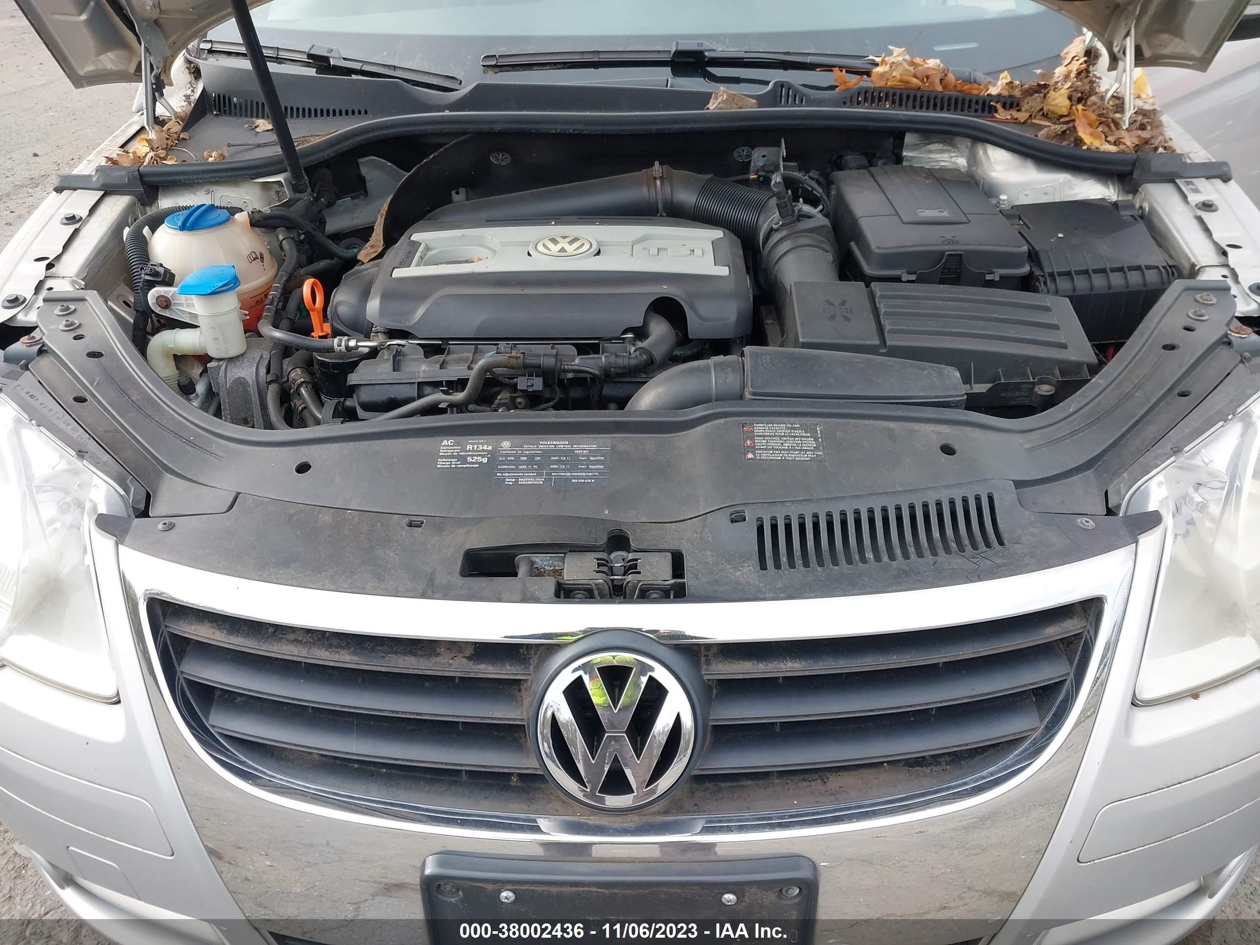 Photo 9 VIN: WVWAA71F69V017477 - VOLKSWAGEN EOS 