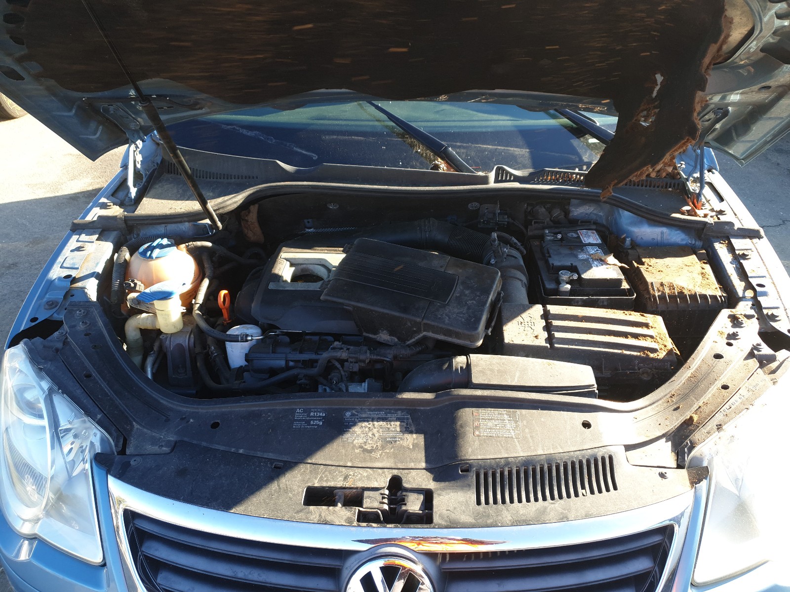 Photo 6 VIN: WVWBA71F89V024600 - VOLKSWAGEN EOS TURBO 