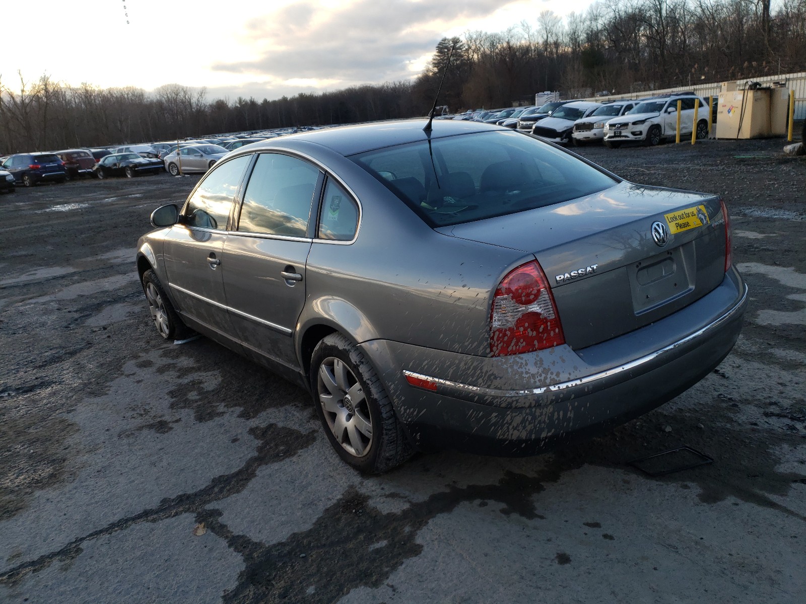 Photo 2 VIN: WVWBD63B65P007238 - VOLKSWAGEN PASSAT 