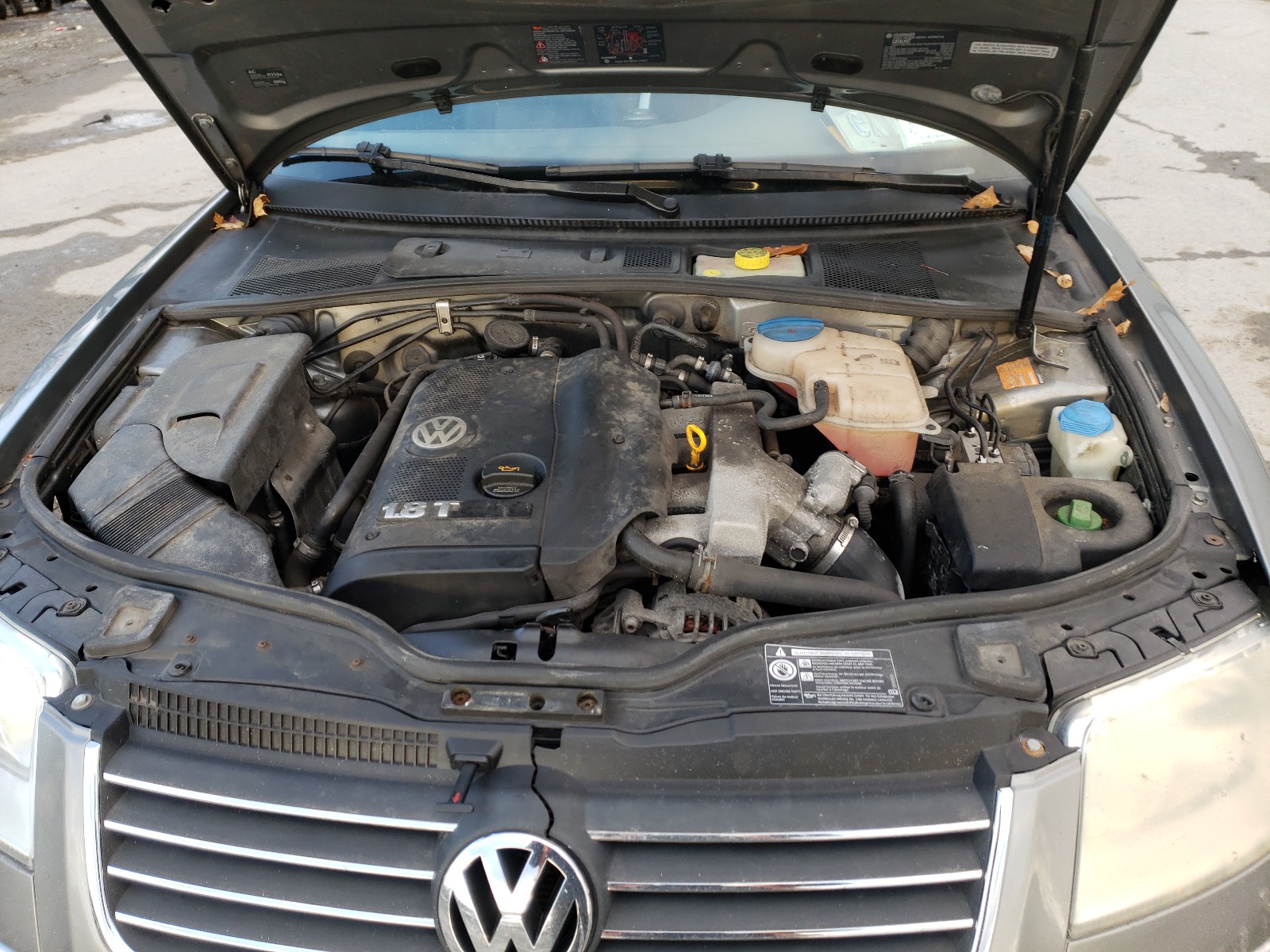 Photo 6 VIN: WVWBD63B65P007238 - VOLKSWAGEN PASSAT 