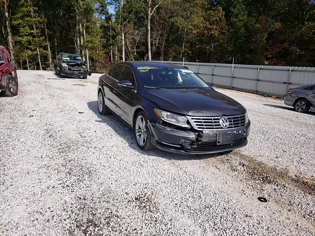 Photo 10 VIN: WVWBP7AN0DE515449 - VOLKSWAGEN CC 