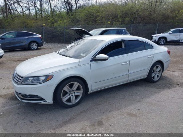 Photo 1 VIN: WVWBP7AN0FE822509 - VOLKSWAGEN CC 