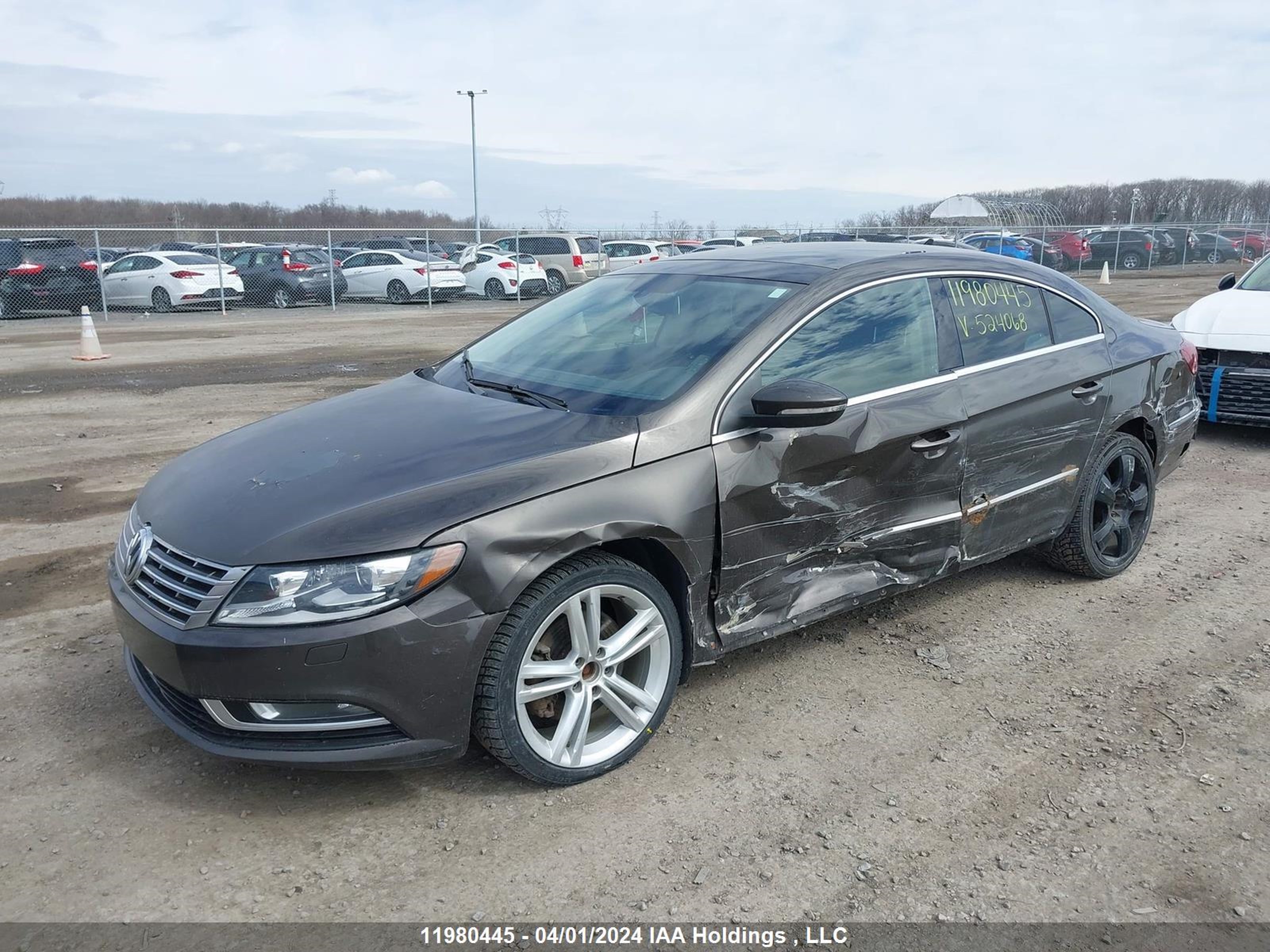 Photo 1 VIN: WVWRN7AN5DE524068 - VOLKSWAGEN PASSAT 