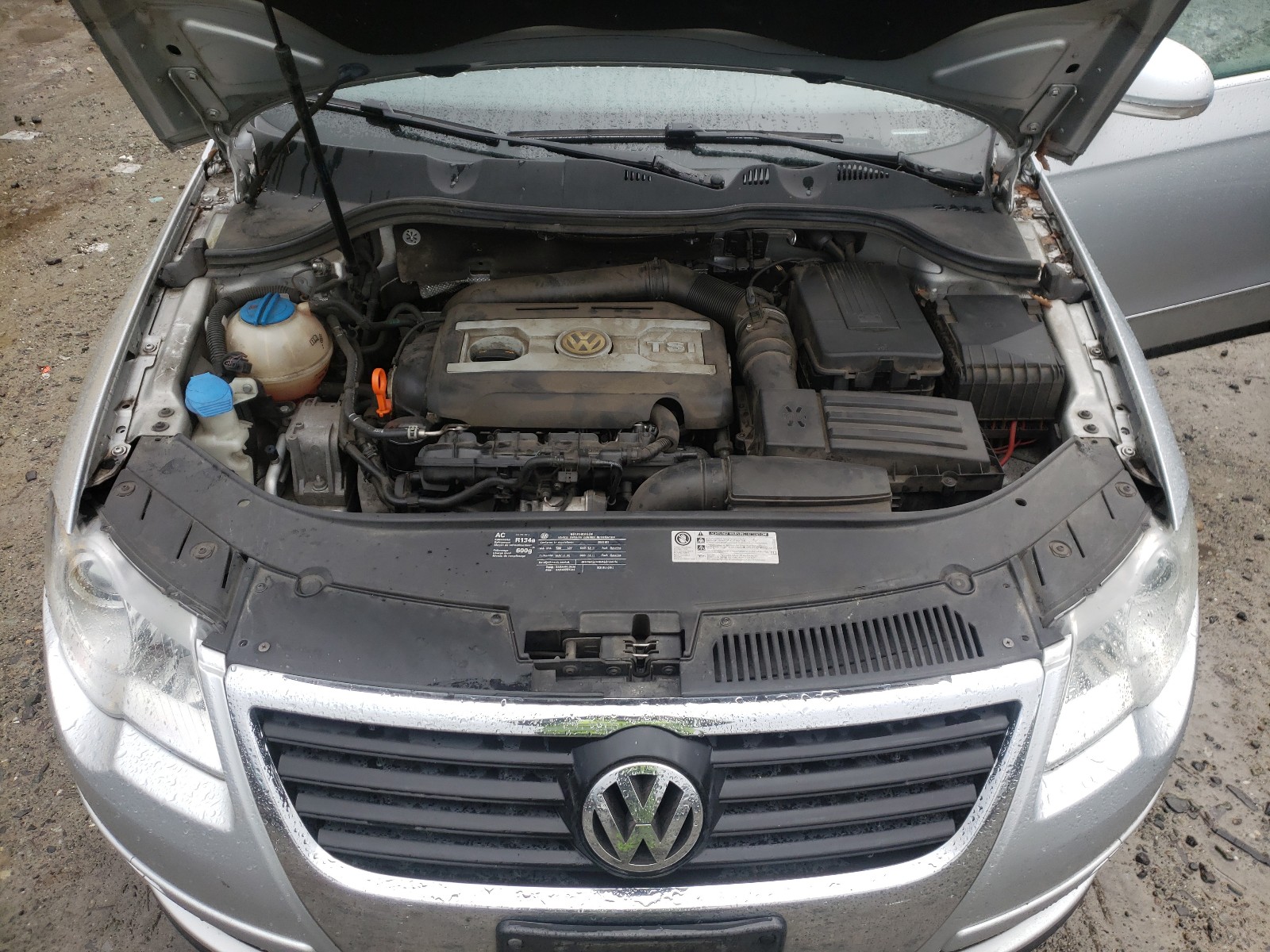 Photo 6 VIN: WVWXK93C89E135049 - VOLKSWAGEN PASSAT 