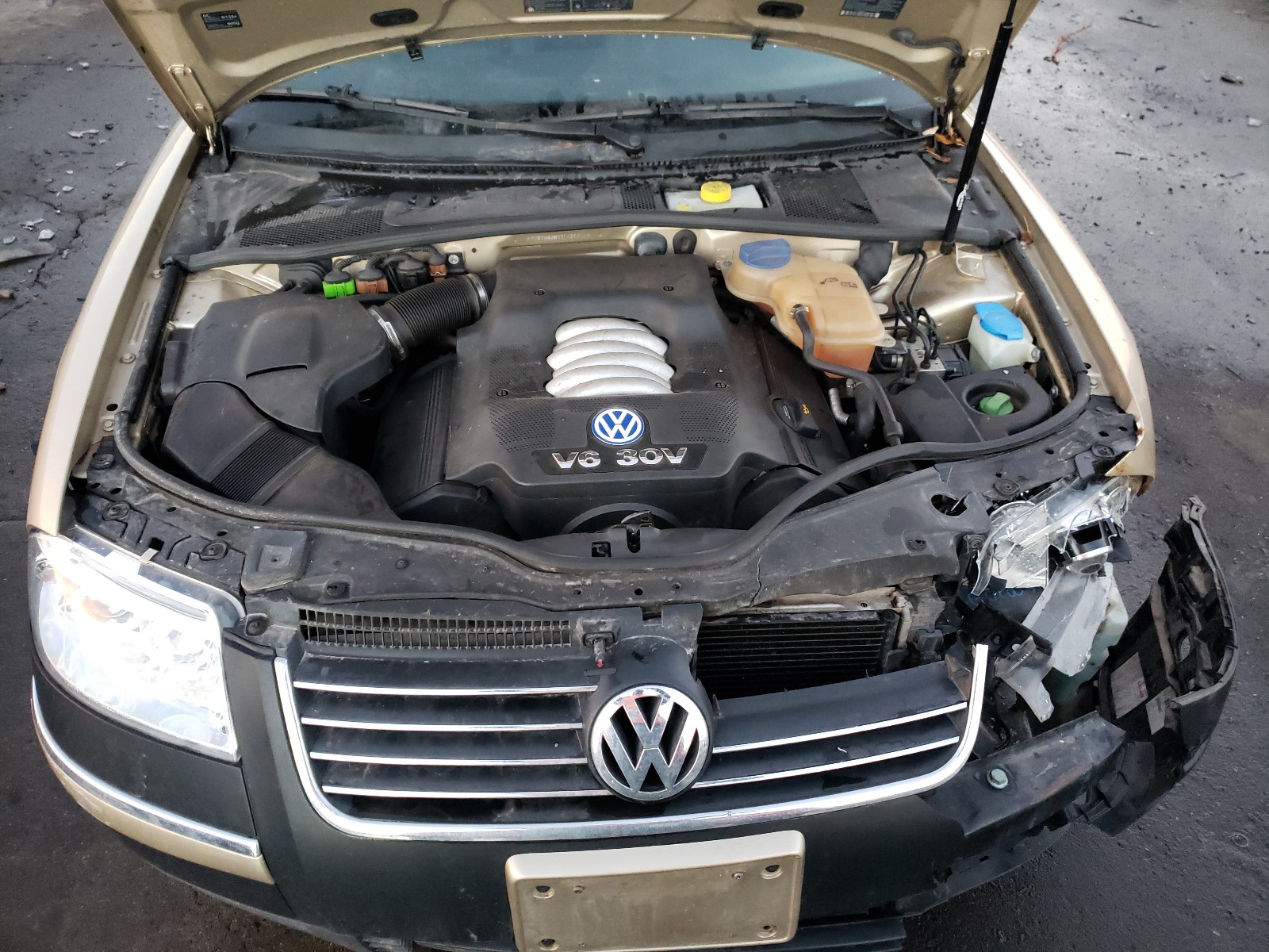 Photo 6 VIN: WVWYH63B53E424065 - VOLKSWAGEN PASSAT 