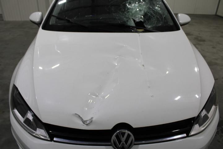 Photo 11 VIN: WVWZZZAUZHP035137 - VOLKSWAGEN GOLF 