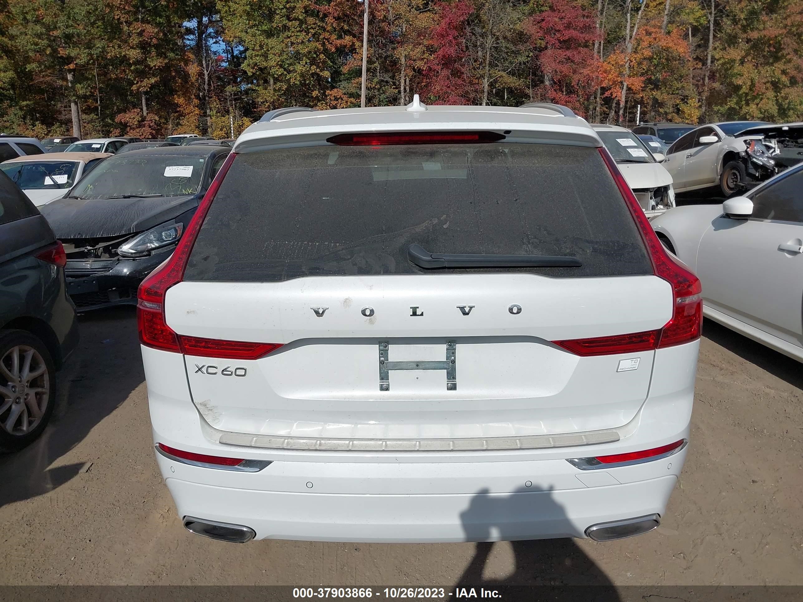 Photo 14 VIN: YV4BR0DK1M1787841 - VOLVO XC60 