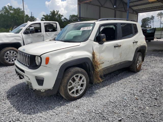 Photo 0 VIN: ZACNJBAB1KPJ73339 - JEEP RENEGADE S 