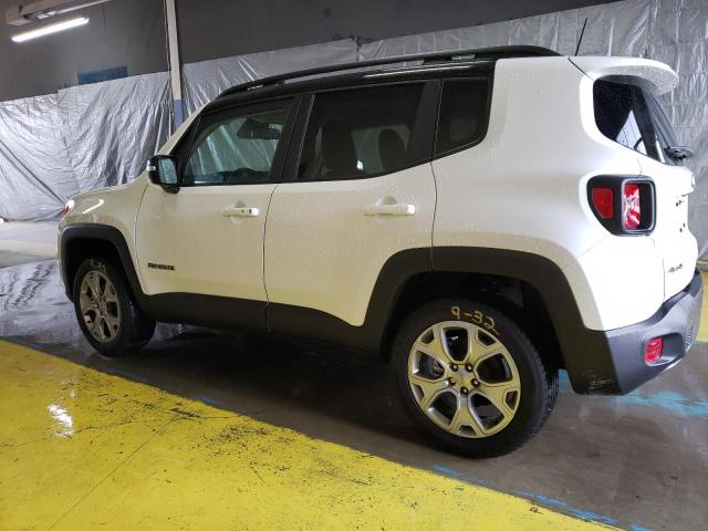 Photo 1 VIN: ZACNJDD16PPP25648 - JEEP RENEGADE 