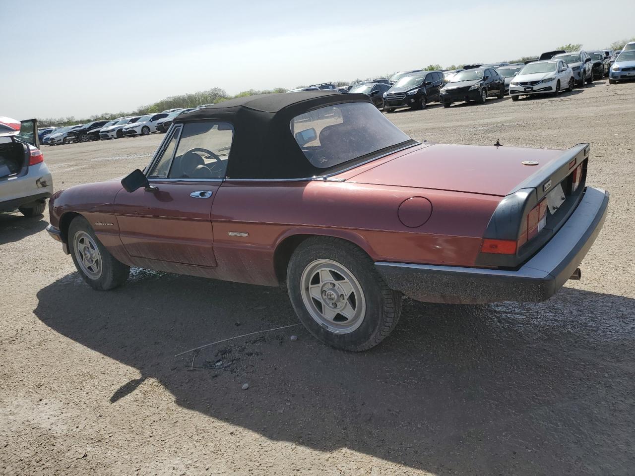 Photo 1 VIN: ZARBA12G5L6001688 - ALFA-ROMEO SPIDER 