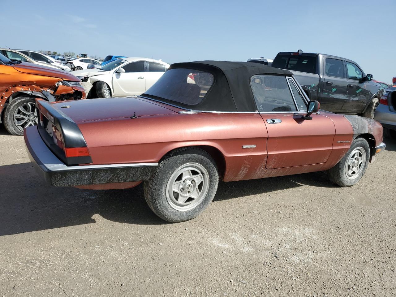 Photo 2 VIN: ZARBA12G5L6001688 - ALFA-ROMEO SPIDER 