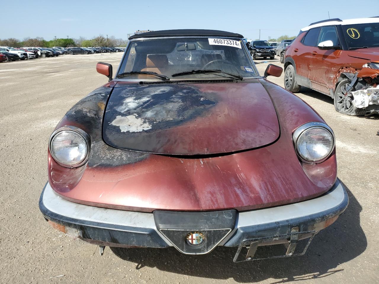 Photo 4 VIN: ZARBA12G5L6001688 - ALFA-ROMEO SPIDER 