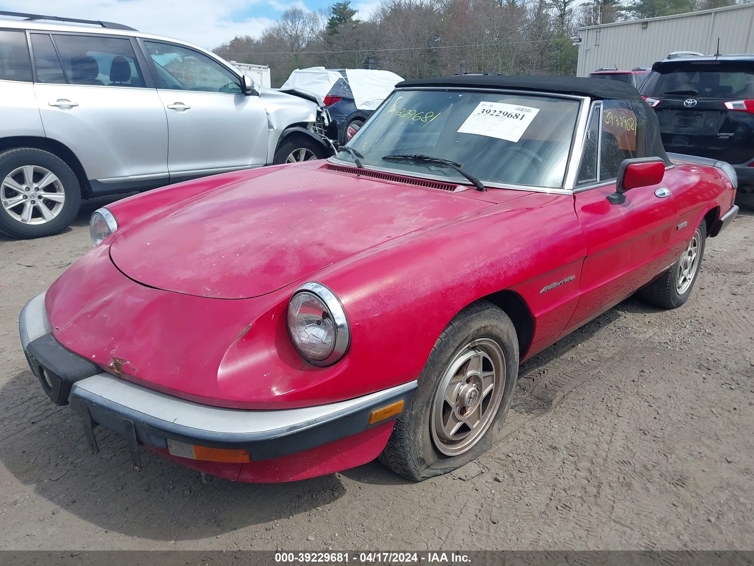 Photo 1 VIN: ZARBA12G7L6001885 - ALFA-ROMEO SPIDER 