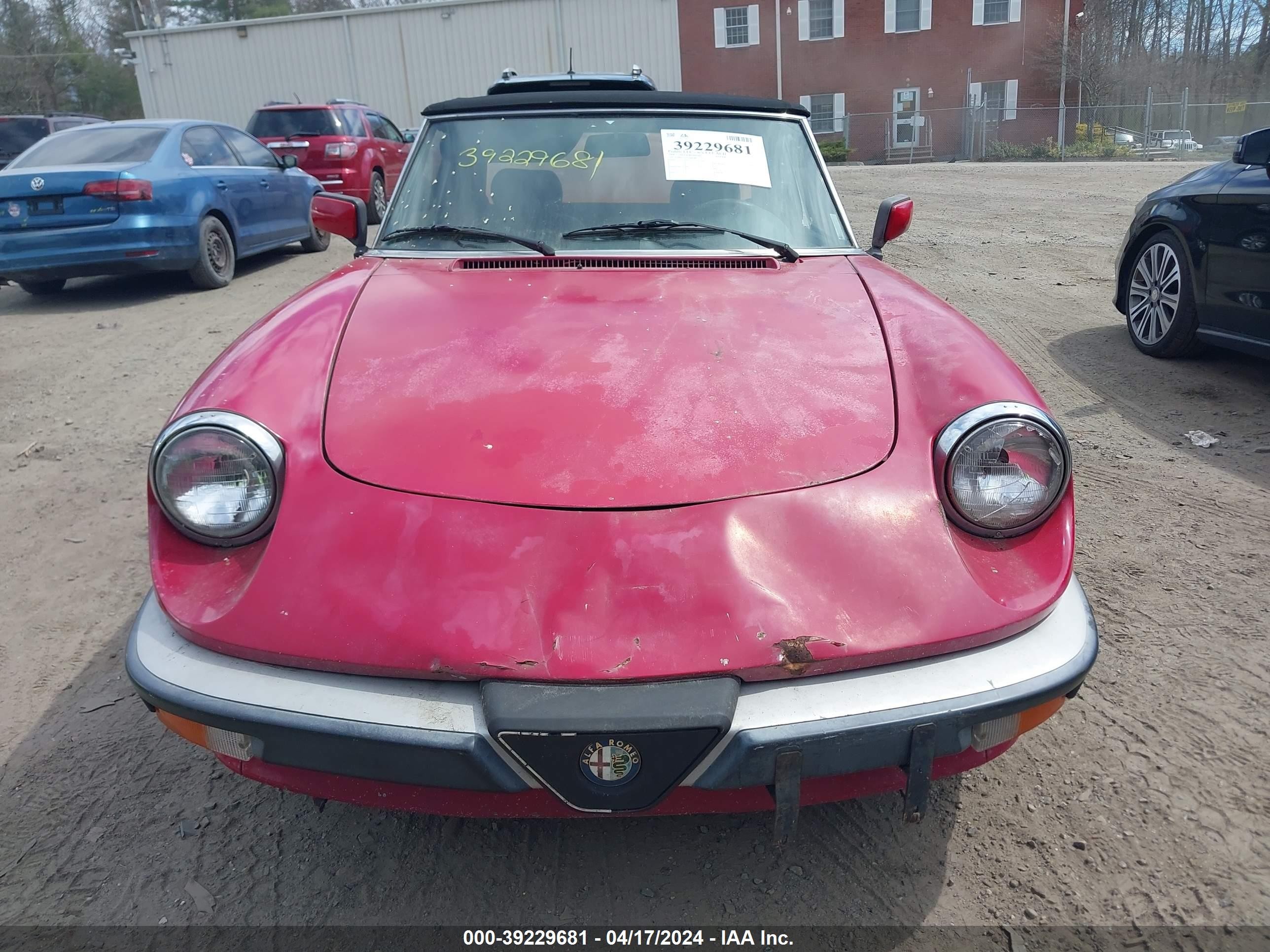 Photo 11 VIN: ZARBA12G7L6001885 - ALFA-ROMEO SPIDER 