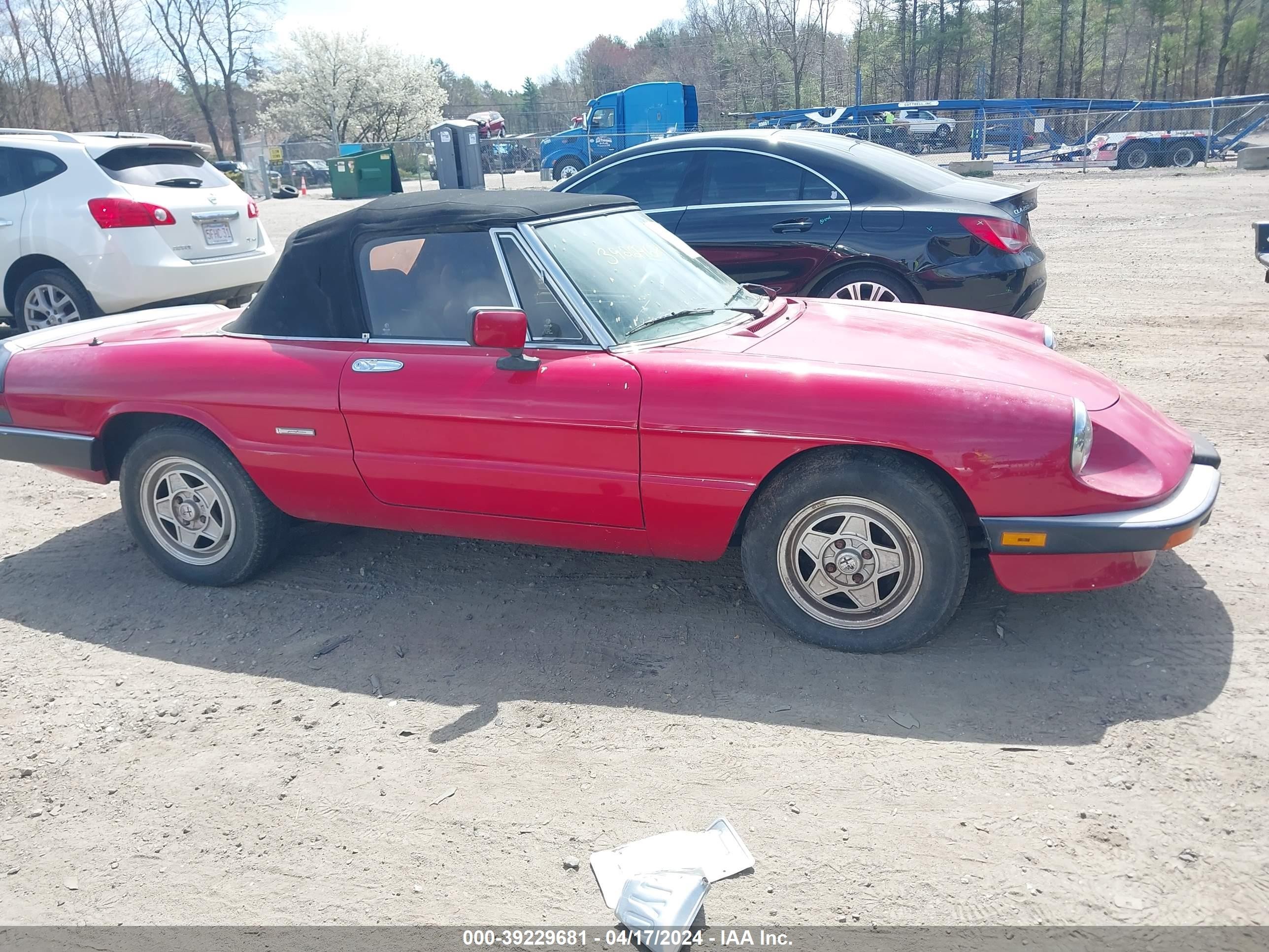 Photo 12 VIN: ZARBA12G7L6001885 - ALFA-ROMEO SPIDER 