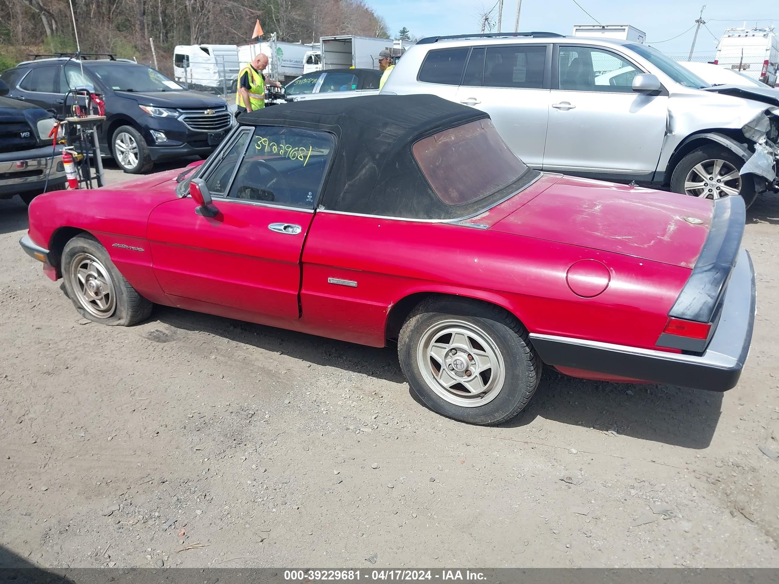 Photo 13 VIN: ZARBA12G7L6001885 - ALFA-ROMEO SPIDER 