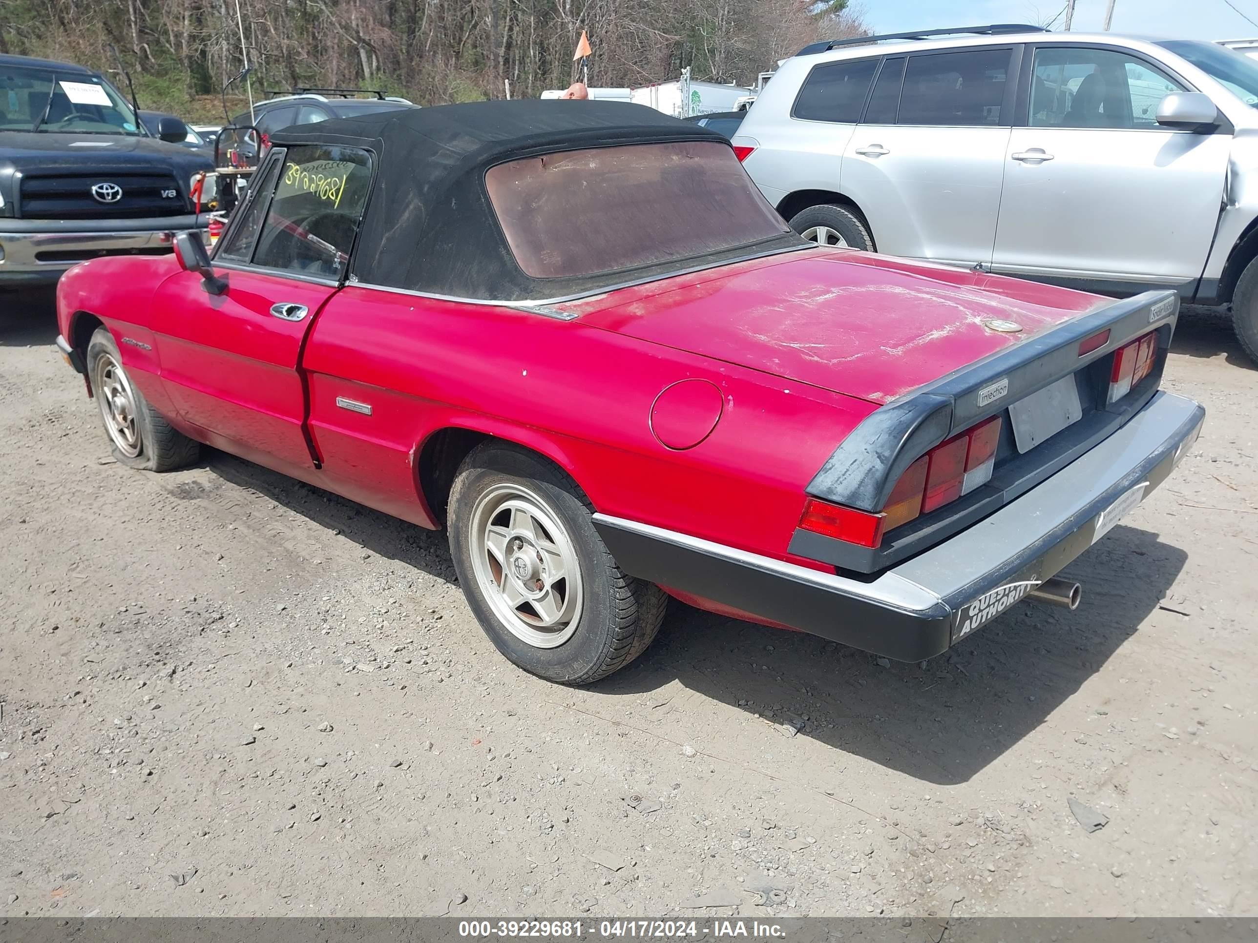 Photo 2 VIN: ZARBA12G7L6001885 - ALFA-ROMEO SPIDER 