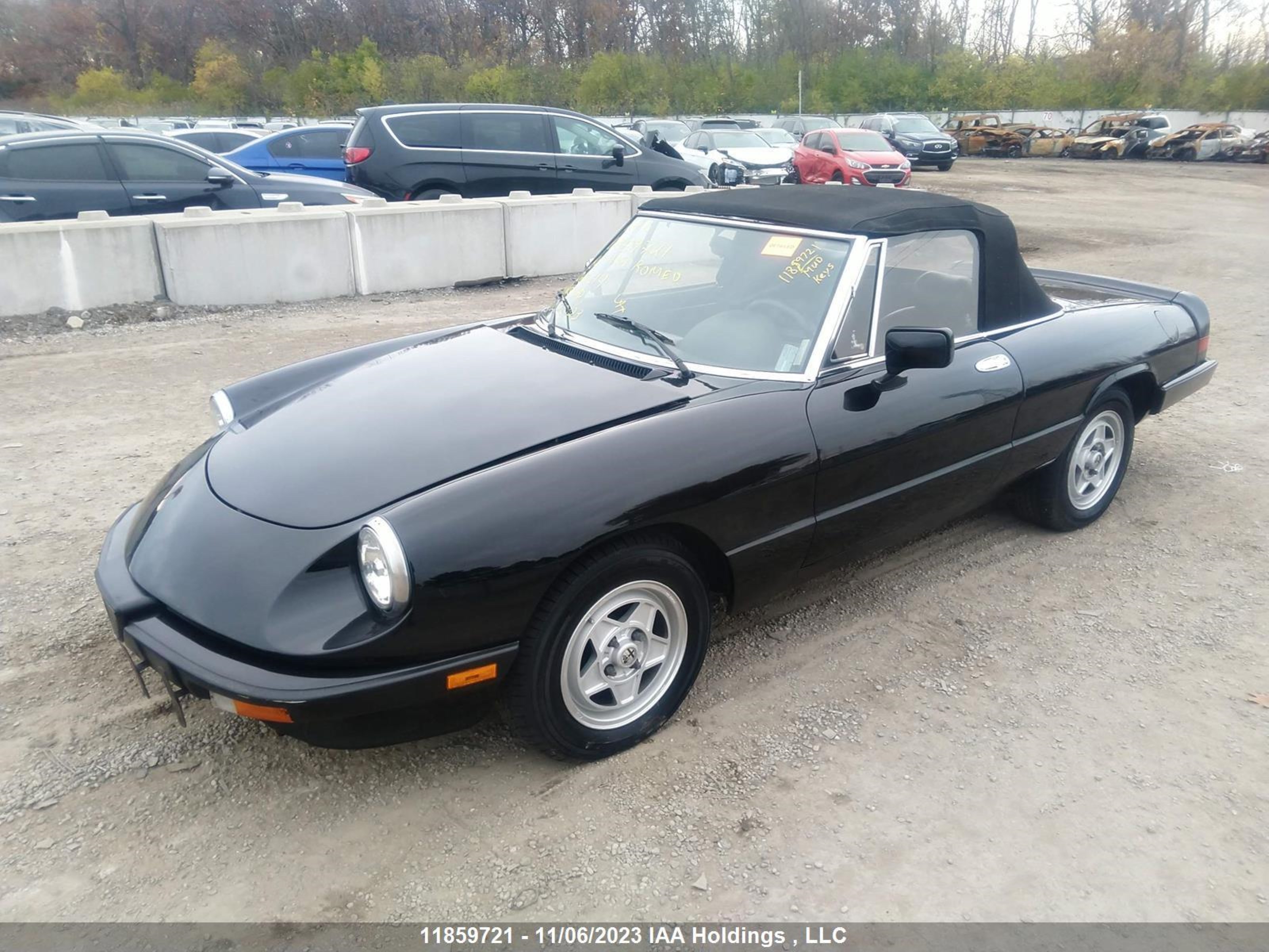 Photo 1 VIN: ZARBA5640J1062514 - ALFA-ROMEO SPIDER 