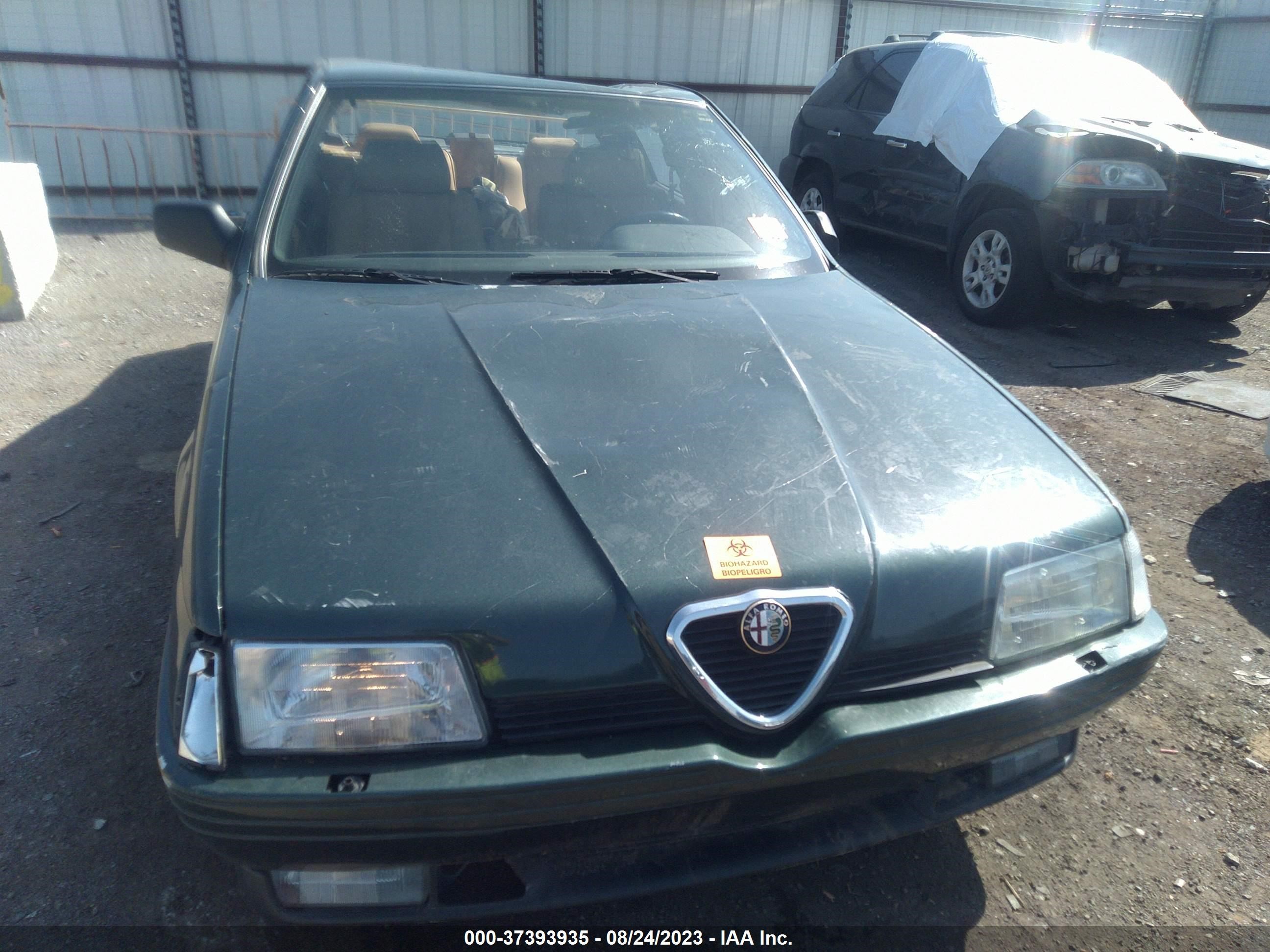 Photo 11 VIN: ZAREA43LXM6206791 - ALFA ROMEO 164 