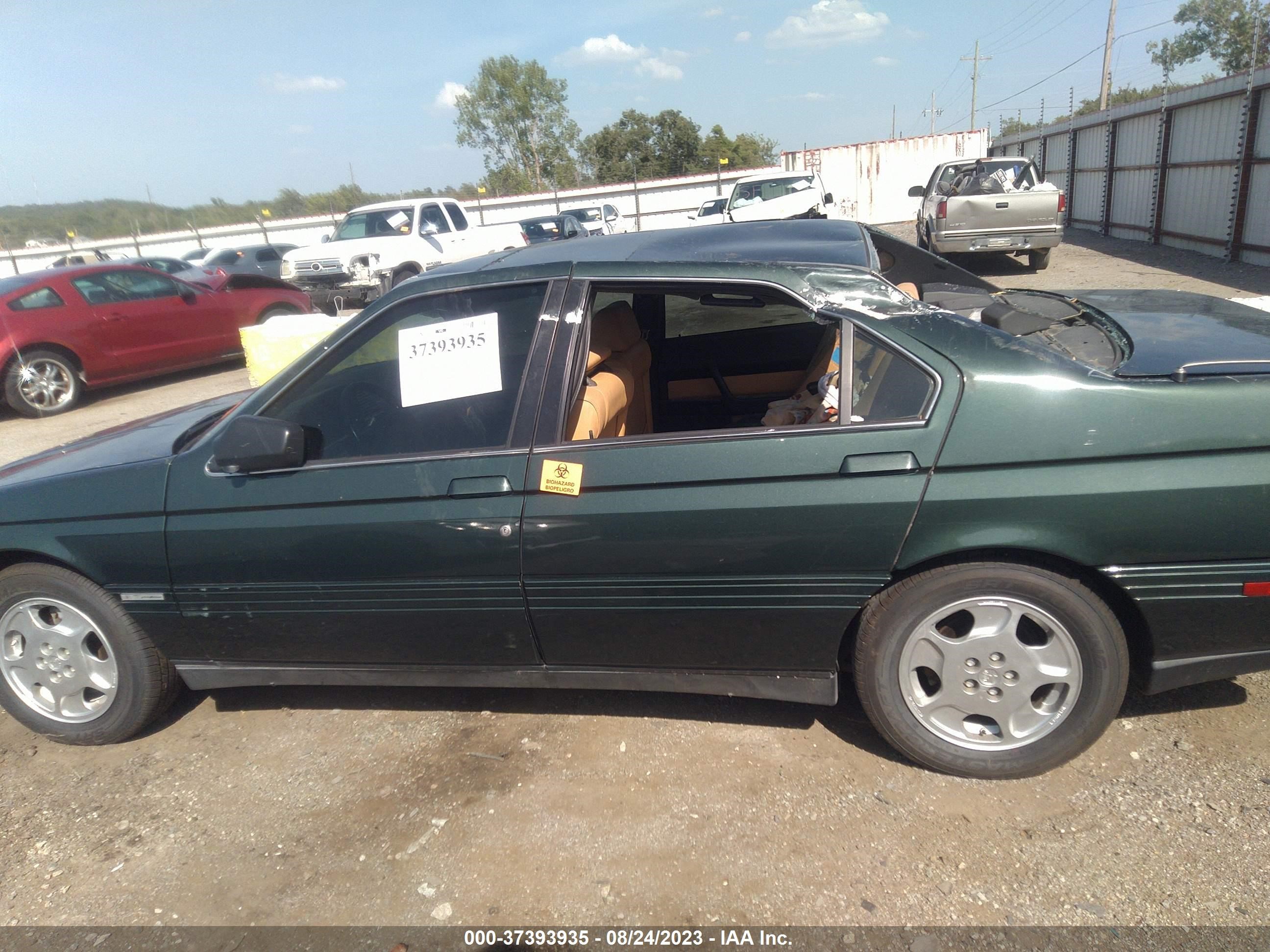 Photo 13 VIN: ZAREA43LXM6206791 - ALFA ROMEO 164 