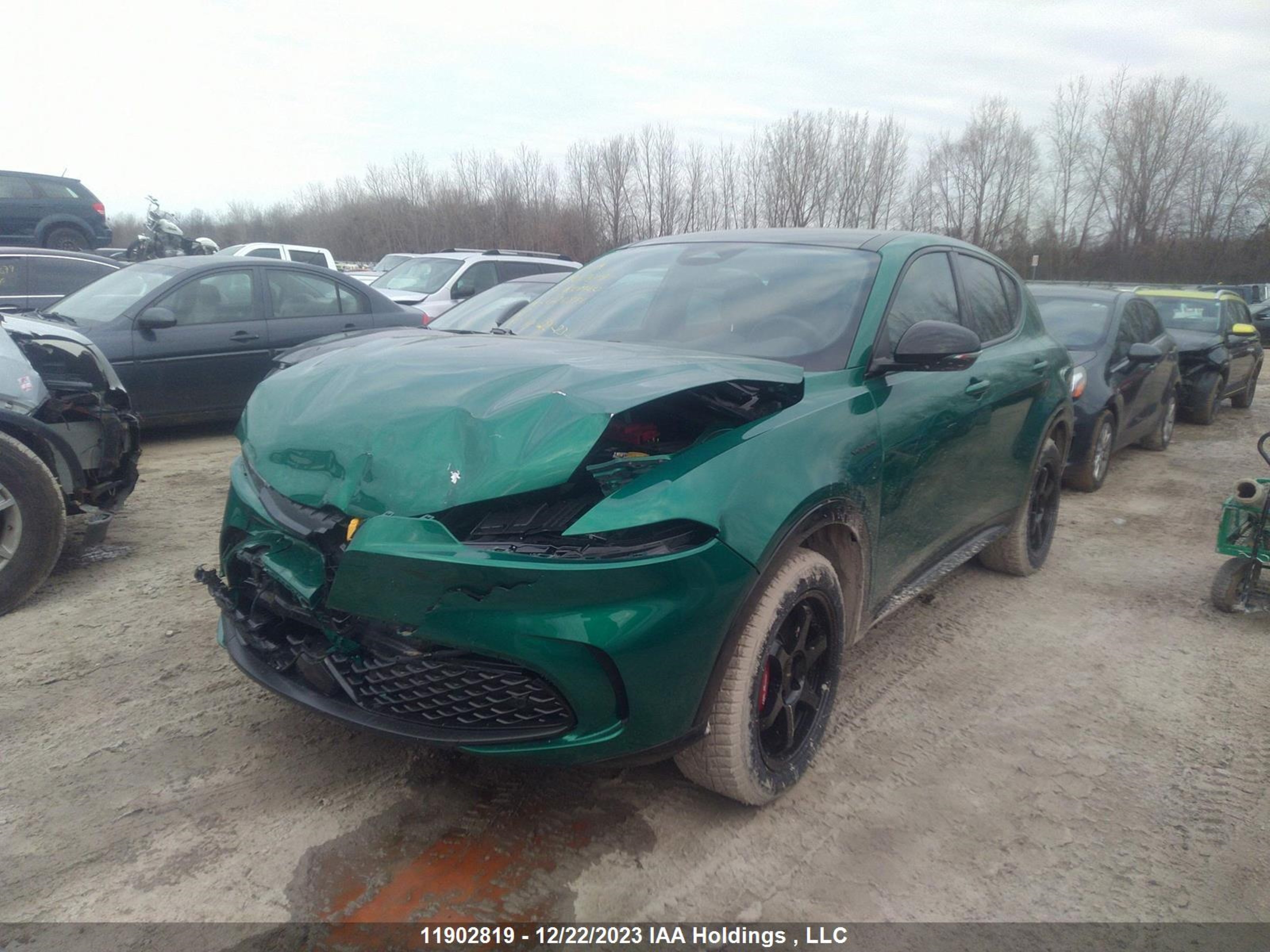 Photo 1 VIN: ZASNATDN0P3026881 - ALFA-ROMEO TONALE 