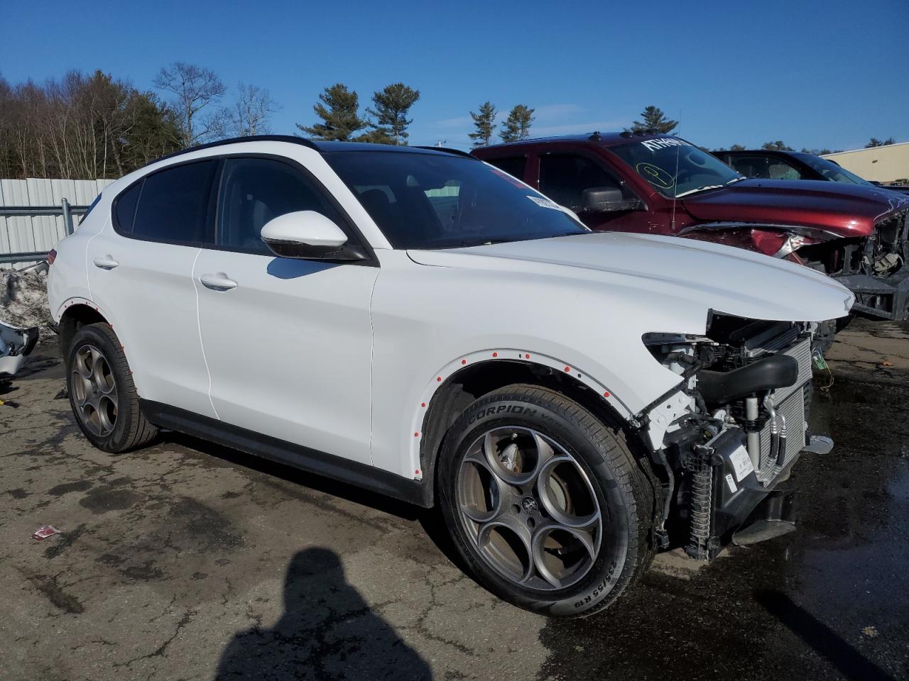 Photo 3 VIN: ZASPAKAN0P7D59780 - ALFA-ROMEO STELVIO 