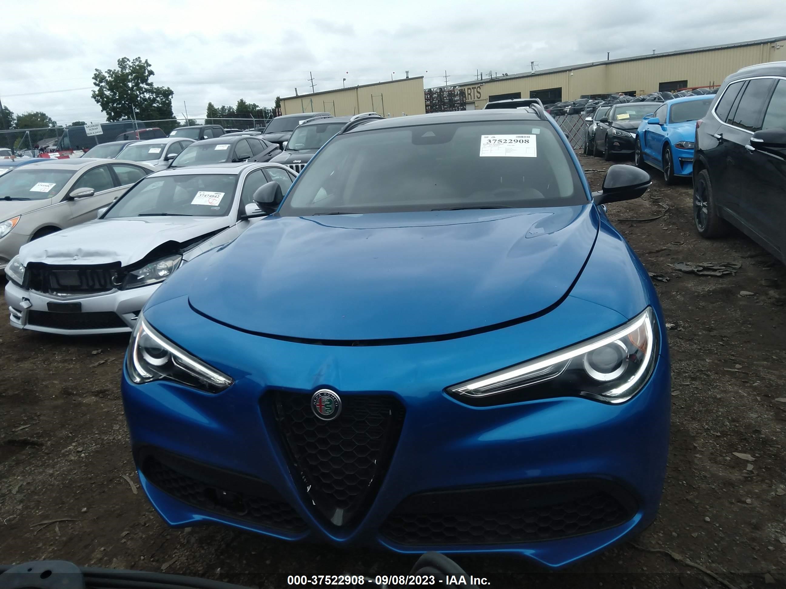 Photo 11 VIN: ZASPAKAN1M7D17159 - ALFA-ROMEO STELVIO 