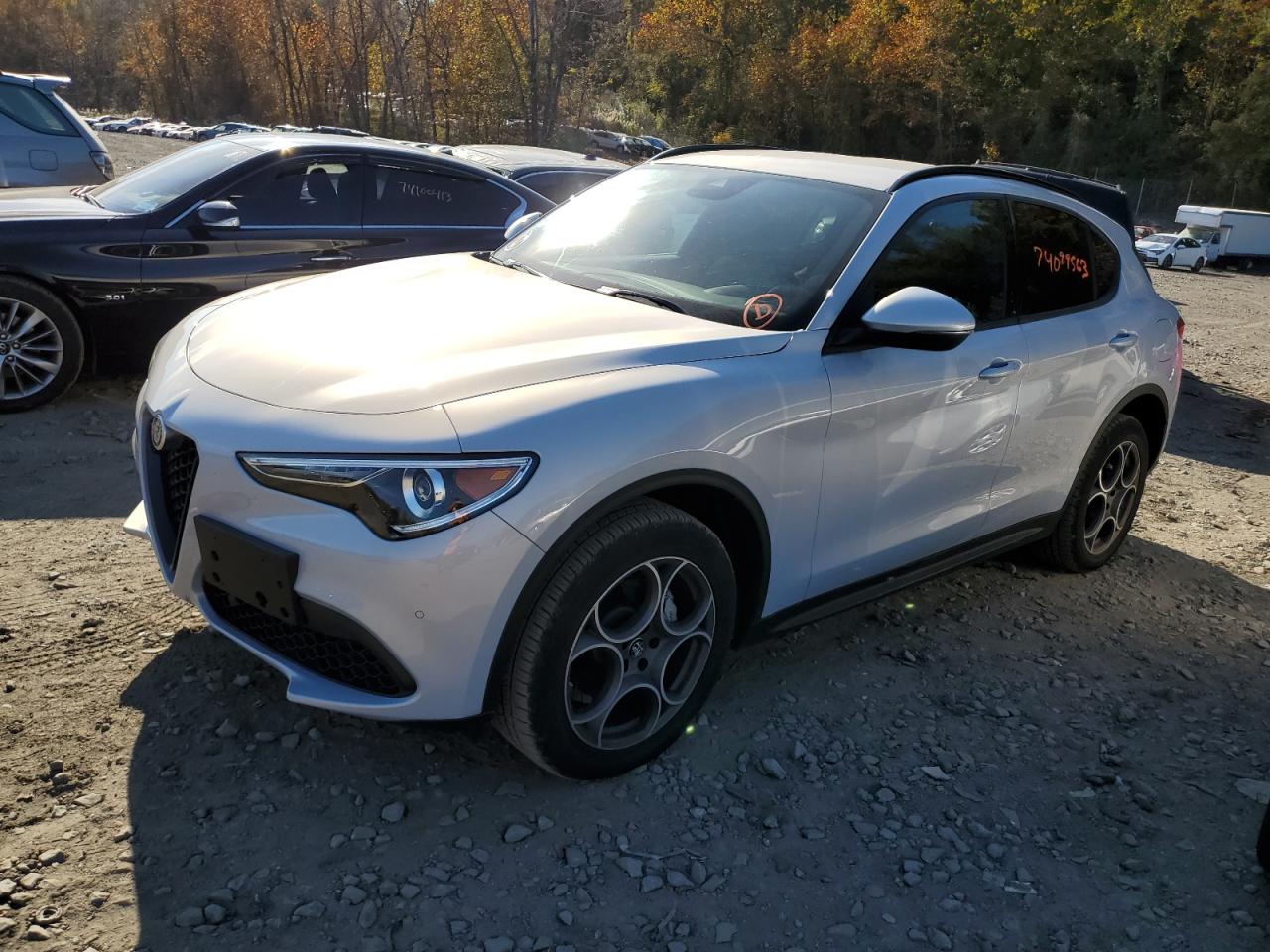 Photo 0 VIN: ZASPAKAN5N7D48125 - ALFA-ROMEO STELVIO 