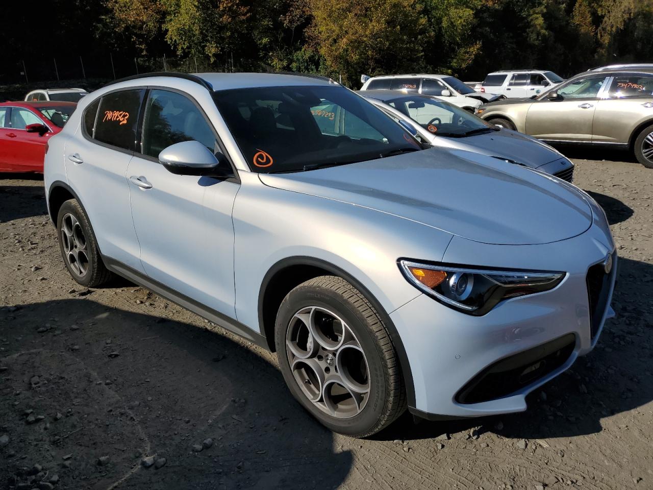 Photo 3 VIN: ZASPAKAN5N7D48125 - ALFA-ROMEO STELVIO 