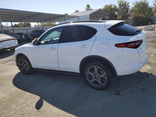 Photo 1 VIN: ZASPAKAN7K7C32114 - ALFA-ROMEO STELVIO 