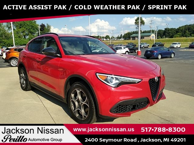 Photo 9 VIN: ZASPAKANXM7D02739 - ALFA ROMEO STELVIO 