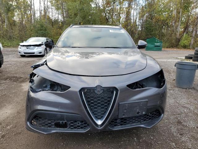 Photo 4 VIN: ZASPAKBN0K7C67124 - ALFA ROMEO STELVIO TI 