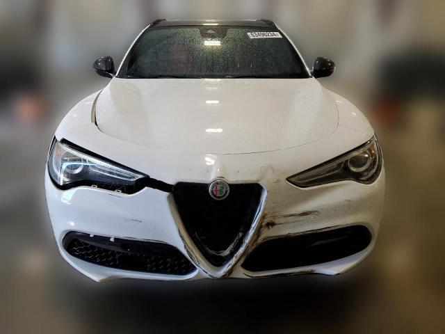 Photo 4 VIN: ZASPAKBN0L7C76309 - ALFA-ROMEO STELVIO 