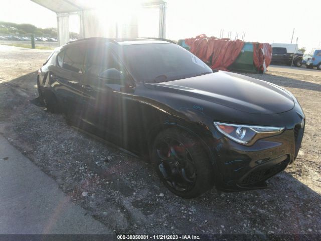 Photo 0 VIN: ZASPAKBN0N7D24720 - ALFA-ROMEO STELVIO 