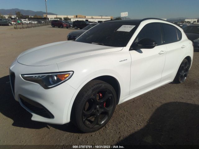 Photo 1 VIN: ZASPAKBN0N7D38780 - ALFA-ROMEO STELVIO 