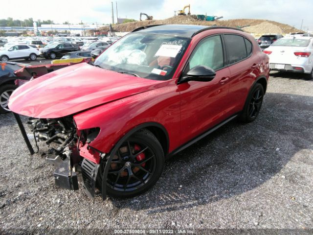 Photo 1 VIN: ZASPAKBN1K7C50915 - ALFA-ROMEO STELVIO 