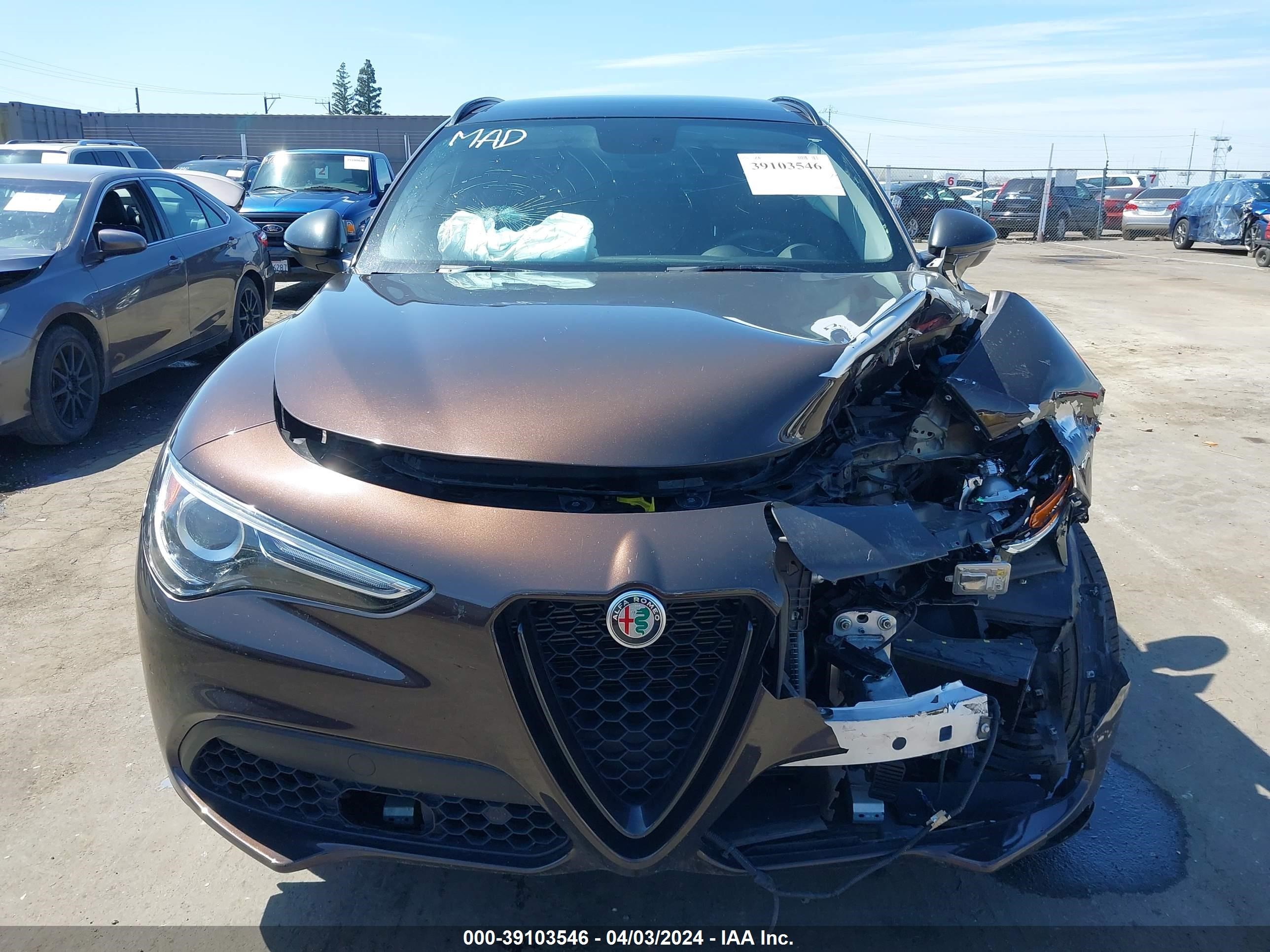 Photo 10 VIN: ZASPAKBN1K7C51403 - ALFA-ROMEO STELVIO 