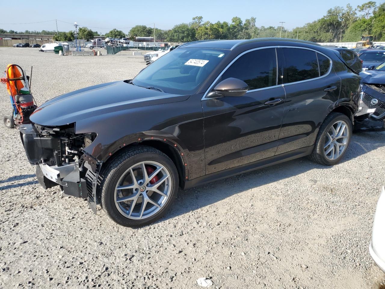 Photo 0 VIN: ZASPAKBN3K7C39866 - ALFA-ROMEO STELVIO 