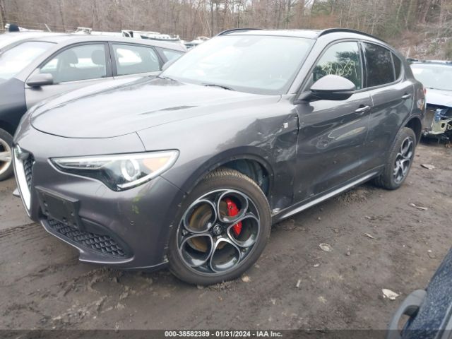 Photo 1 VIN: ZASPAKBN3N7D29412 - ALFA-ROMEO STELVIO 