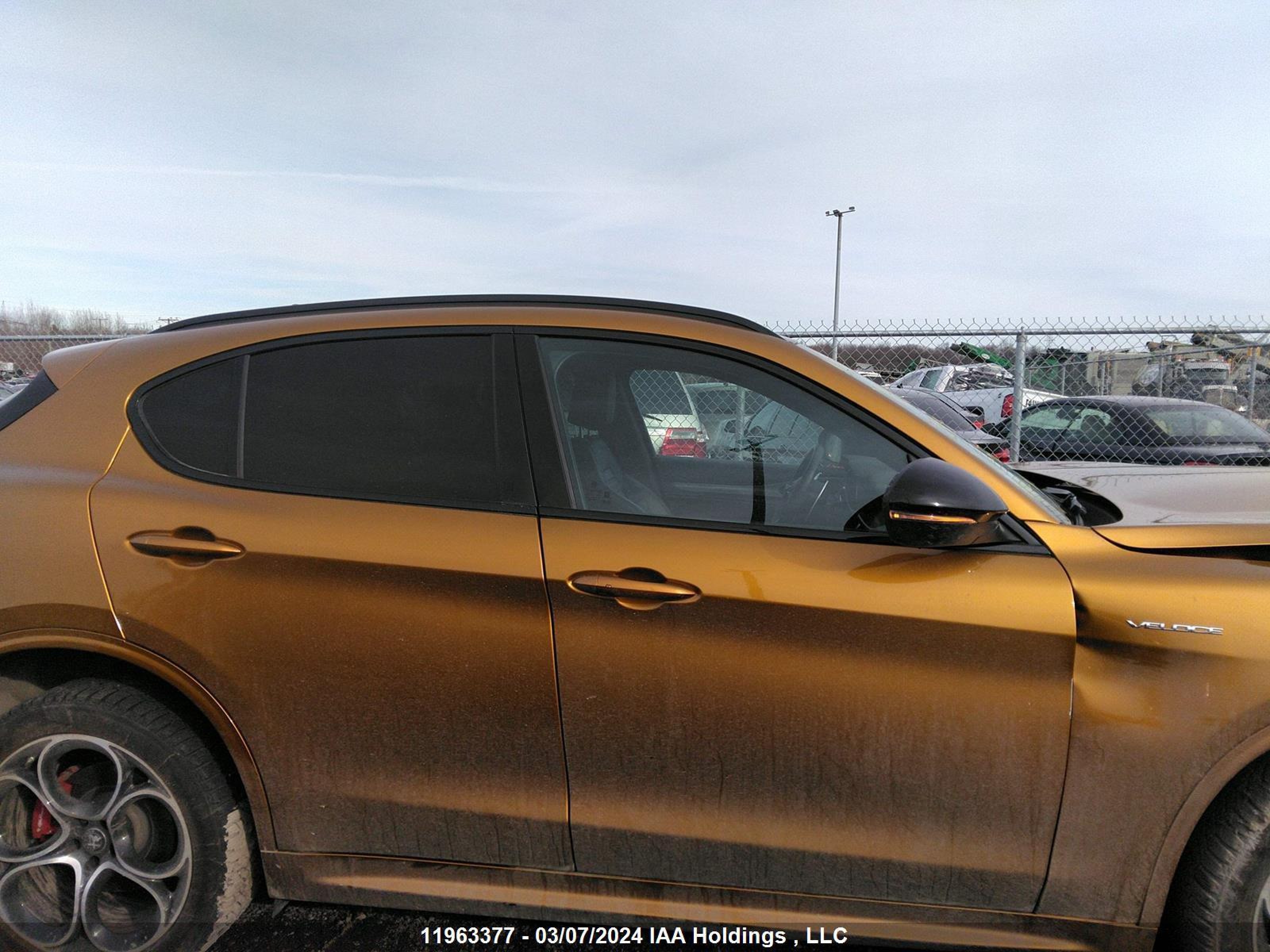 Photo 13 VIN: ZASPAKBN3P7D56435 - ALFA-ROMEO STELVIO 