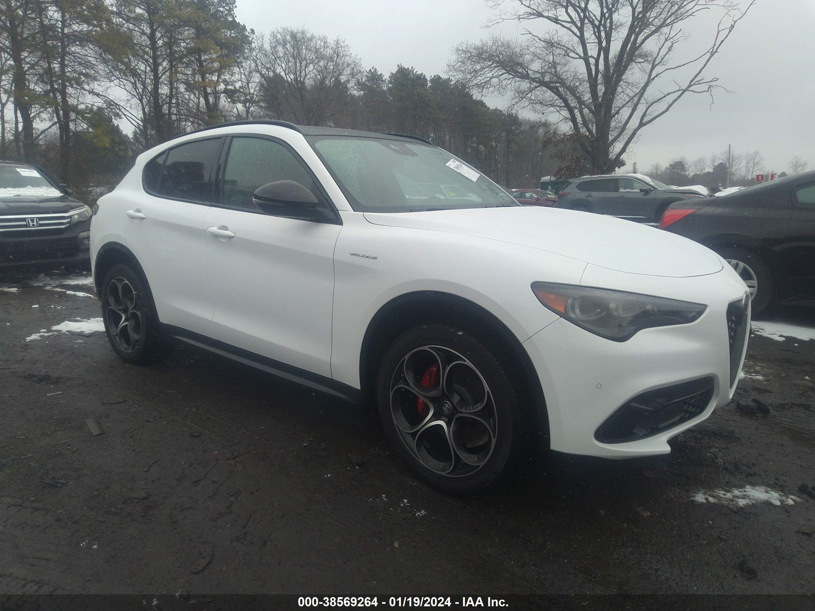 Photo 0 VIN: ZASPAKBN3R7D71276 - ALFA ROMEO STELVIO 