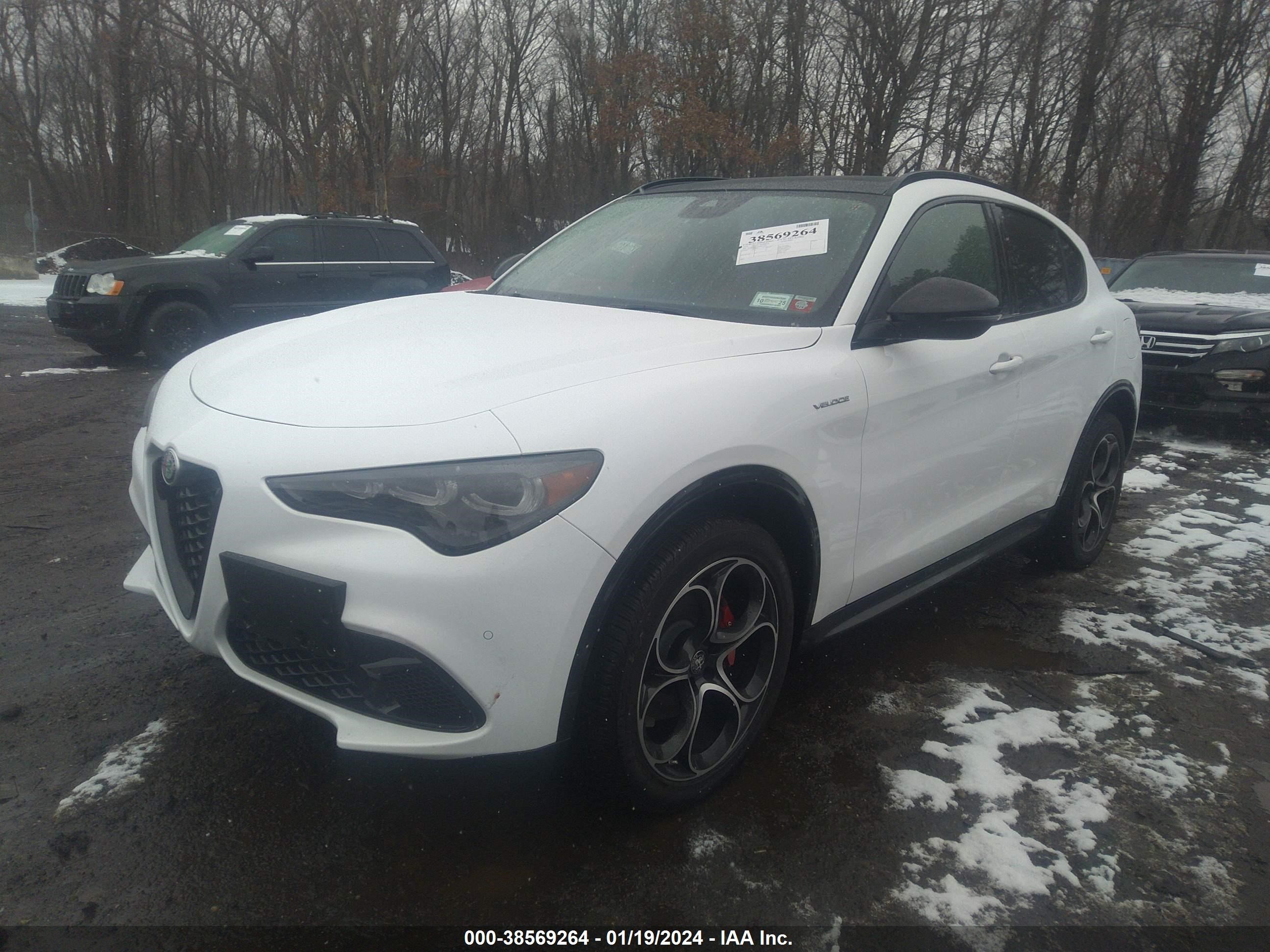 Photo 1 VIN: ZASPAKBN3R7D71276 - ALFA ROMEO STELVIO 