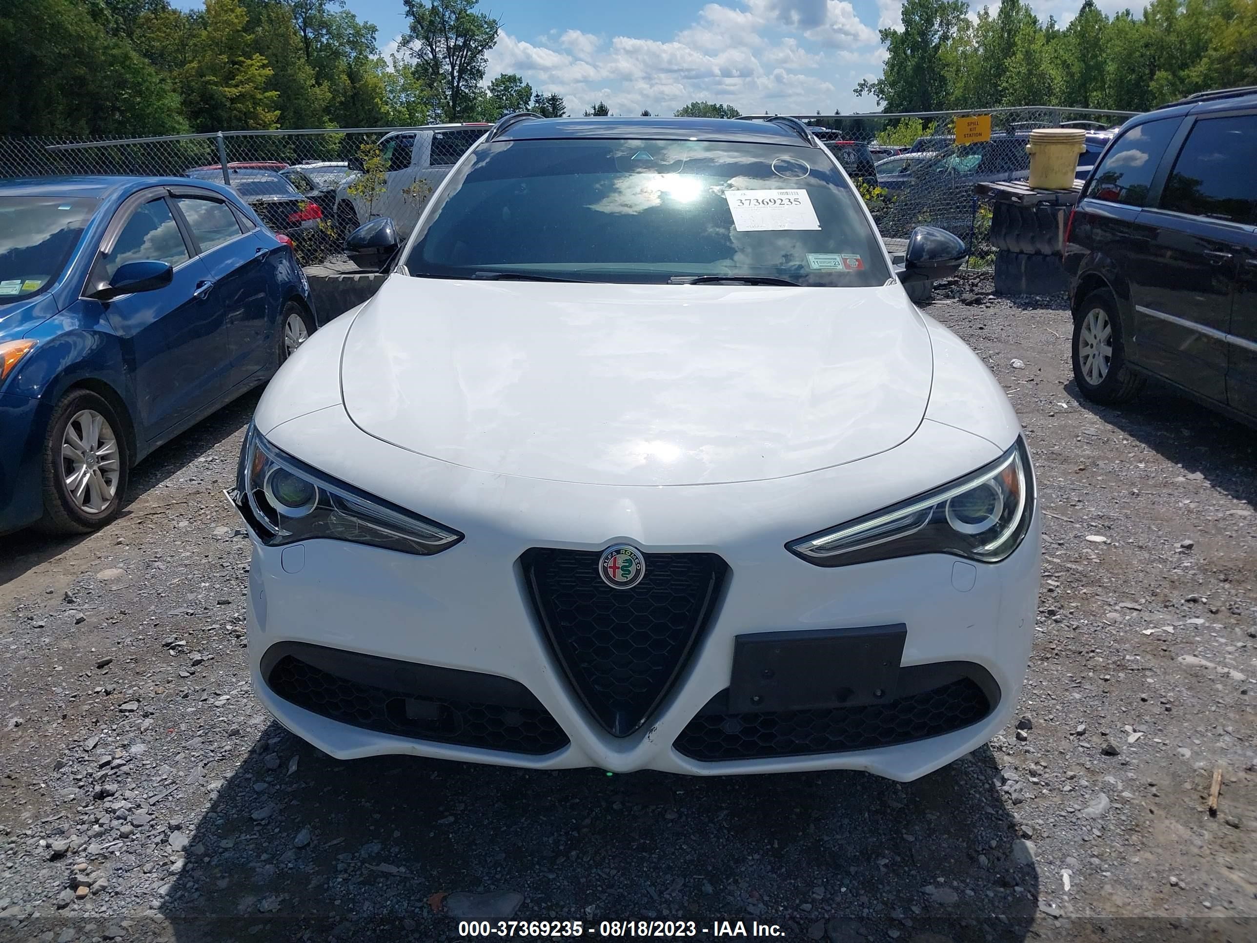 Photo 11 VIN: ZASPAKBN4N7D27829 - ALFA-ROMEO STELVIO 