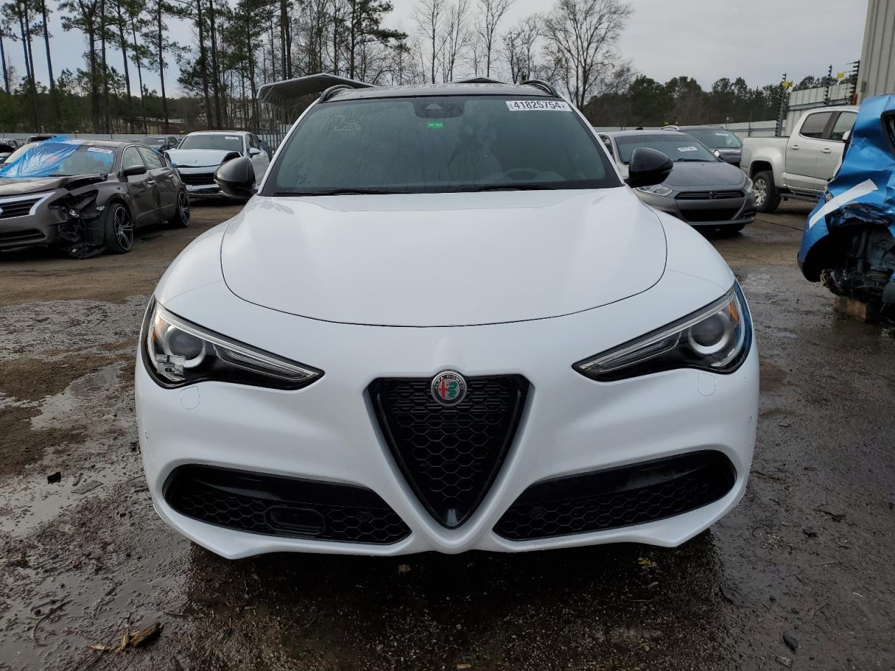 Photo 4 VIN: ZASPAKBN4N7D45893 - ALFA ROMEO STELVIO 