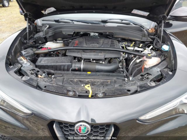 Photo 9 VIN: ZASPAKBN5K7C38623 - ALFA-ROMEO STELVIO 